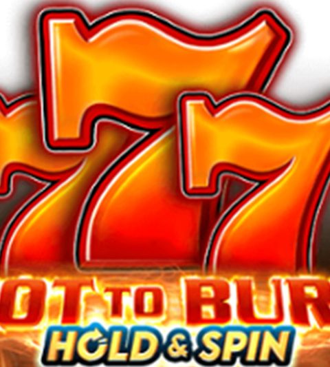 Обзор игрового автомата Hot to Burn Hold and Spin